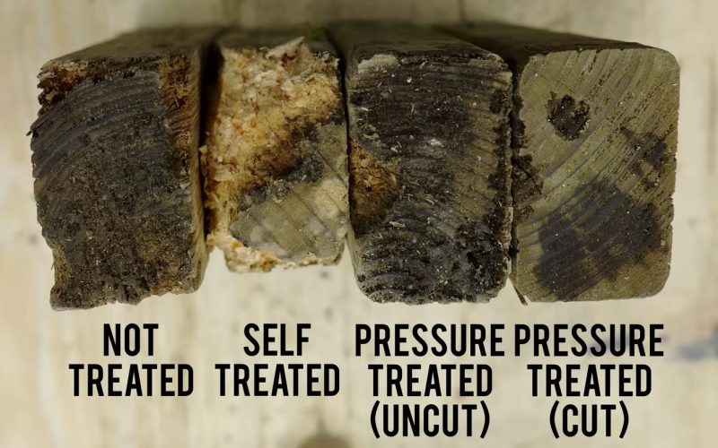 the-confusing-world-of-wood-preservation-treatments