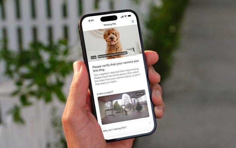 ring’s-first-4k-cameras-use-ai-to-find-your-pets