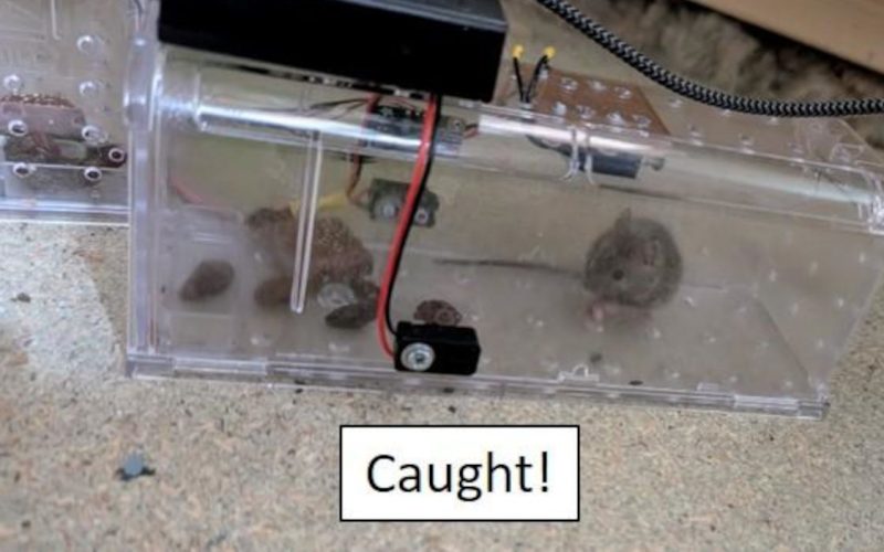 humane-mousetrap-lets-you-know-it’s-caught-something